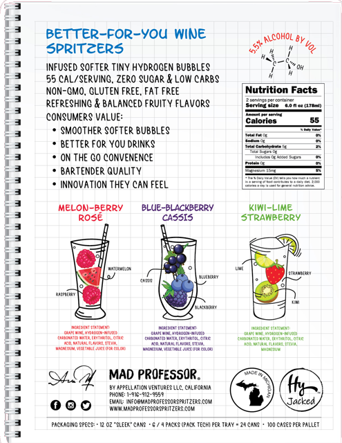Mad Professor Sales Sheet page 2